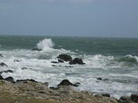 côte sauvage