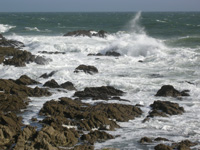 côte sauvage
