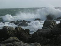 côte sauvage