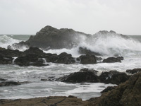 côte sauvage