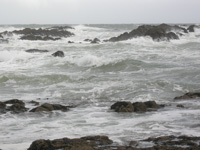 côte sauvage