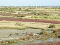 guerande