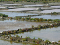 guerande