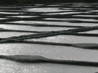 guerande