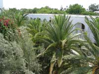 tunisie